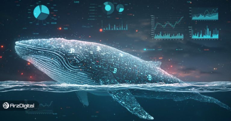 آموزش ردیابی معاملات نهنگ ها؛ از حرکات بعدی بازار زودتر باخبر شوید