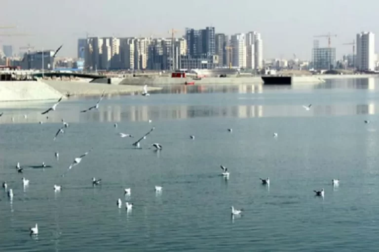 فوری/ چیتگر مورد حمله قرار گرفت – تجارت نیوز