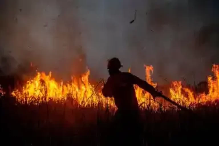 گرمای شدید در اروپا؛ صدها نفر از جزیره‌ای در یونان تخلیه شدند – تجارت نیوز