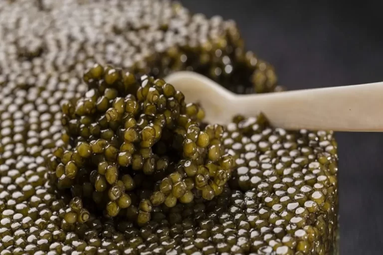 تولید خاویار 17 درصد افزایش یافت – تجارت نیوز