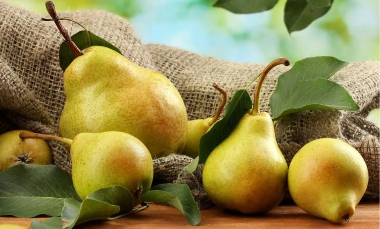 کالری گلابی چقدر است؟ – مجله اکالا