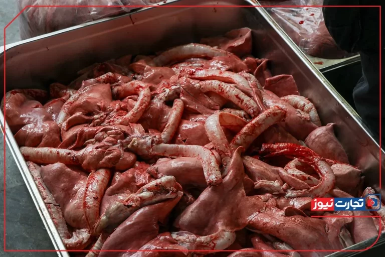 قیمت گوشت قرمز امروز ۱۴ تیر ۱۴۰۴ / نوسان قابل توجهی در قیمت‌ها دیده نمی‌شود!