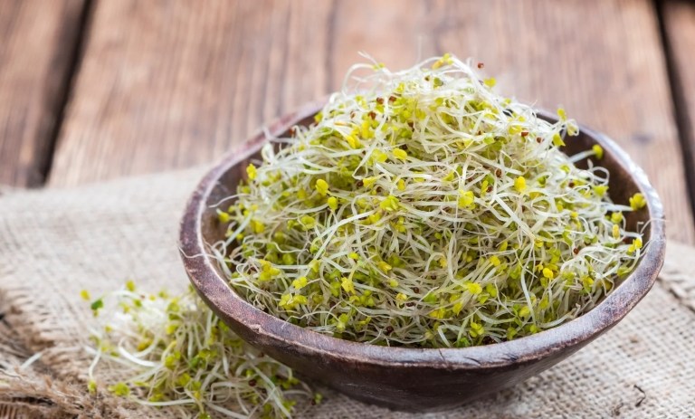 10 خاصیت شگفت‌انگیز جوانه کلم بروکلی و طریقه مصرف آن