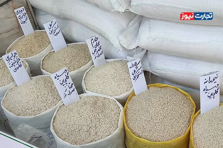 قیمت برنج ایرانی از مرز ۳۰۰ هزار تومان عبور کرد / تولیدکنندگان و صادرکنندگان برنج خواستار حذف ارز ترجیحی هستند