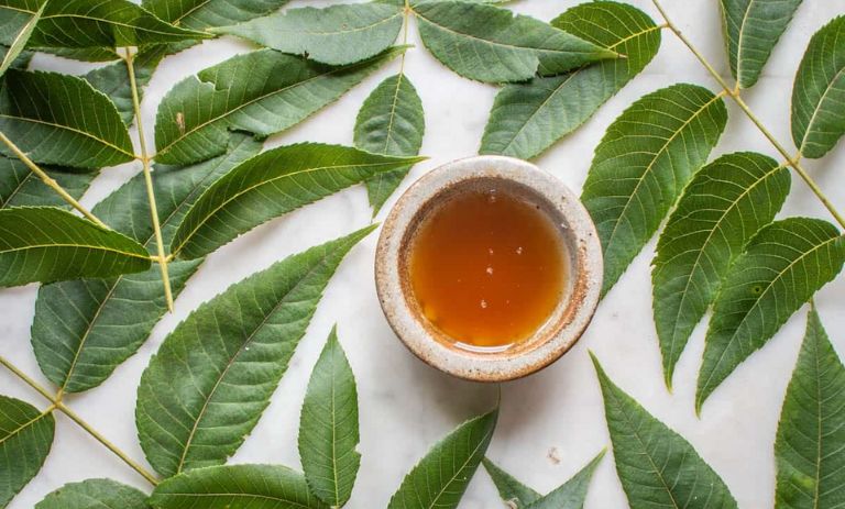 طرز تهیه دمنوش برگ گردو + بهترین زمان مصرف