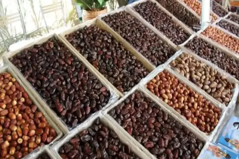 وقتی خرما پلی برای ورود خودرو می‌شود