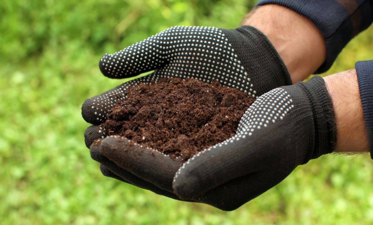 معرفی 25 نوع کود خانگی و طبیعی برای گیاهان اپارتمانی