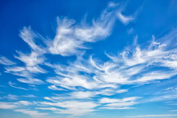 تعبیر خواب ابر به شکل ماهی برای زن متاهل و باردار و دختر مجرد از روانشناسی