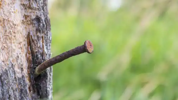 تعبیر خواب میخ زنگ زده برای زن متاهل و باردار و دختر مجرد از روانشناسی