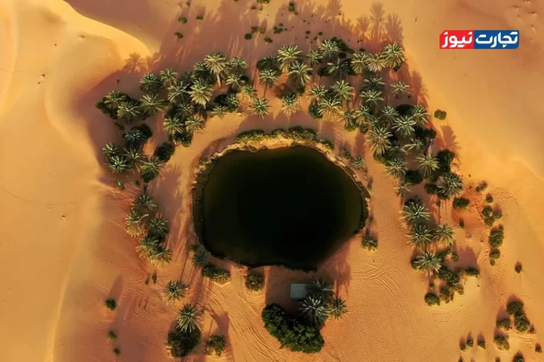 رویای تریلیون دلاری هوش مصنوعی در خلیج فارس / بحران آب مانع خواهد شد؟