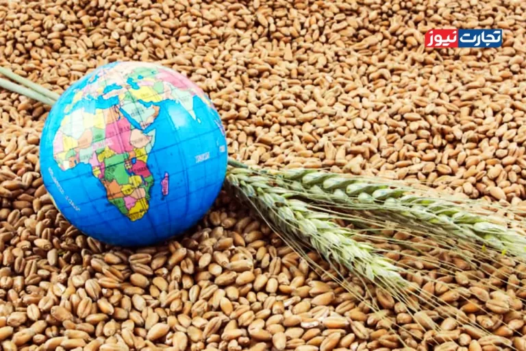 تغییرات اقلیمی چگونه امنیت غذایی را تهدید می‌کند؟