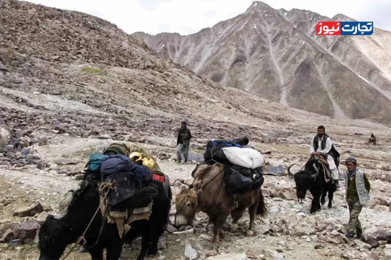 پشت پرده هم صدایی چین و افغانستان برای توسعه کریدور «واخان» / آیا پکن برای صف‌آرایی تروریست‌ها آماده می‌شود؟