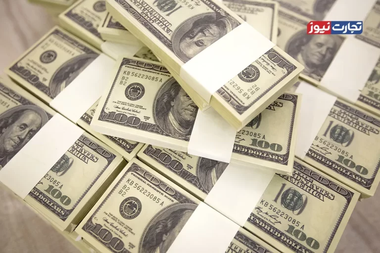 واردات کالای اساسی با ارز تک‌نرخی قیمت آن را افزایش می‌دهد