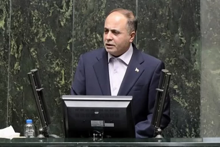 قانع شدن مشروط نمایندگان مجلس از توضیحات وزیر جهاد کشاورزی درباره دامداری سنتی