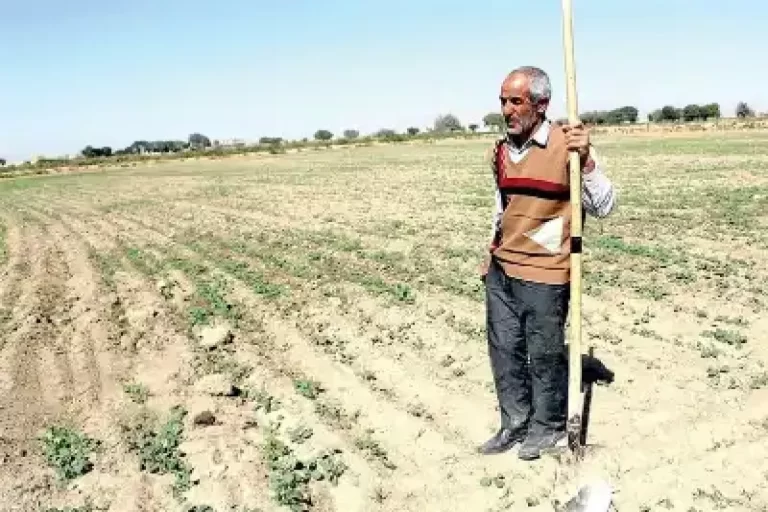 کشاورزان ایرانی ۶ سال پیرتر شدند