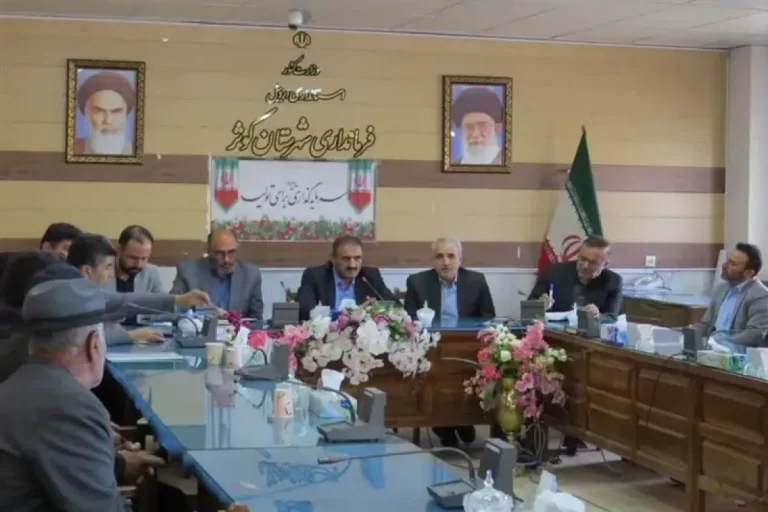 عشایر شاهسون ۳۵ درصد گوشت قرمز اردبیل را تولید می کنند