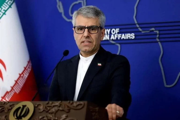 واکنش بقایی به تبیین جنایت صهیونیست‌ها از سوی نماینده پارلمان اروپا