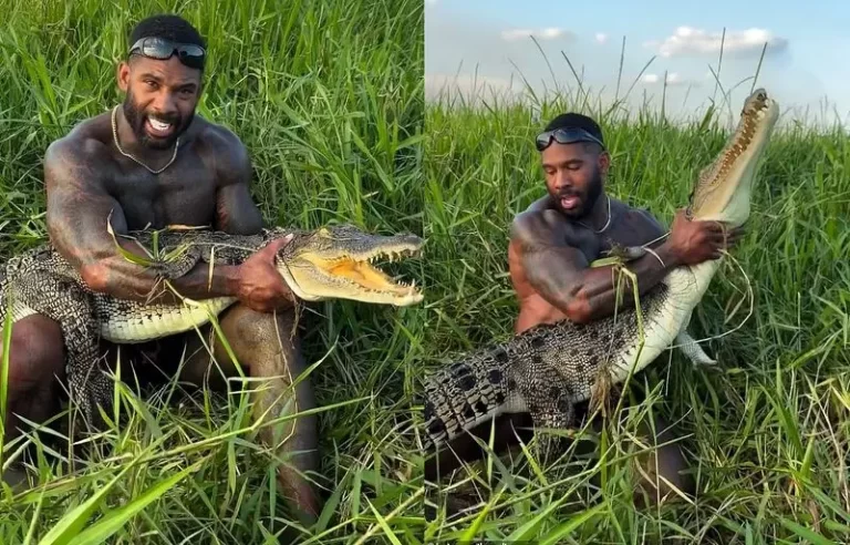 ببینید؛ کشتی گرفتن تارزان با تمساح آتش خشم عمومی را شعله‌ور کرد