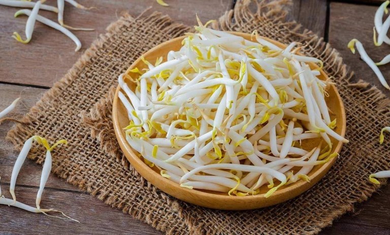 ترفند فریز کردن انواع جوانه‌ها برای استفاده در تمام فصول سال