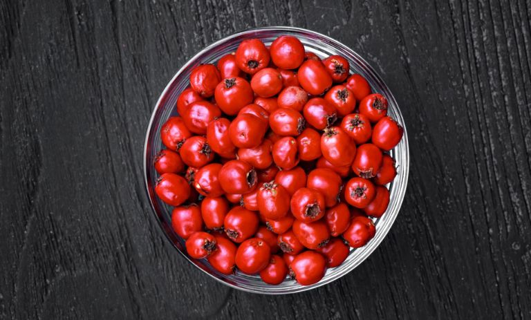 کالری زالزالک چقدر است؟ – مجله اکالا