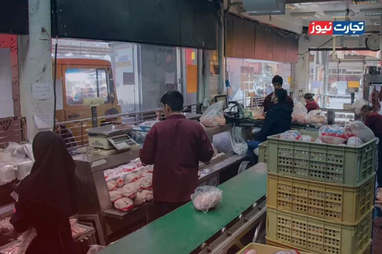 مشکل تخصیص ارز نهاده‌های دامی همچنان ادامه دارد / قیمت مرغ گوشتی در بازار بین ۱۳۰ هزار تا ۱۴۰ هزار تومان است