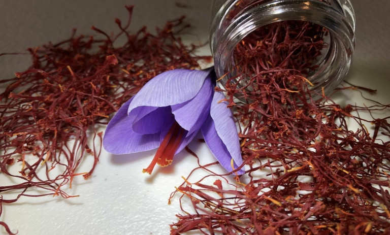 روش‌های کاربردی تشخیص زعفران اصل؛ 10 نکته مهم که باید بدانید