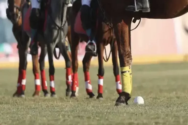 آمریکا برای جام جهانی به ملی‌پوشان چوگان ویزا نداد