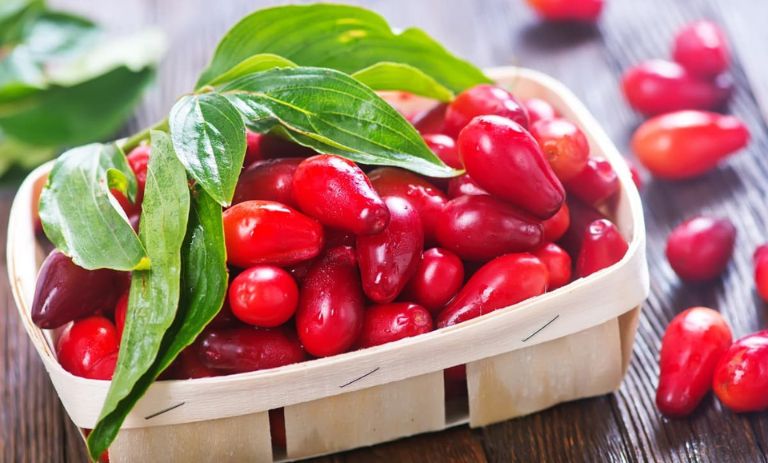 کالری زغال اخته چقدر است؟