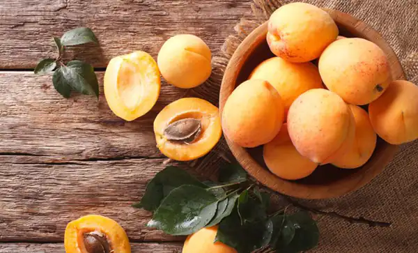 تعبیر خواب زردآلو چیدن و خوردن برای زن متاهل و باردار و دختر مجرد از روانشناسی