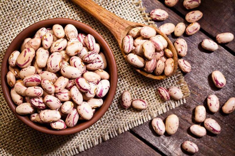 سقوط آزاد قیمت حبوبات در شهریور ۱۴۰۴ / قیمت لوبیا چیتی چند؟