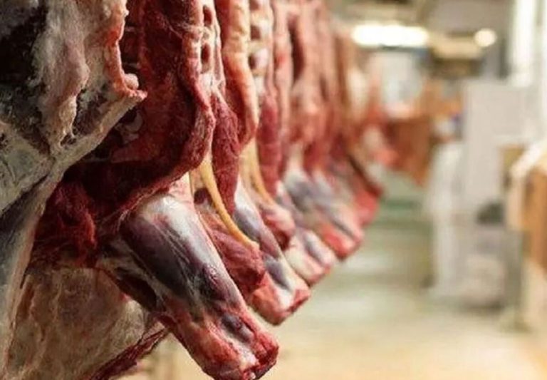 علت کم شدن واردات گوشت قرمز چیست؟