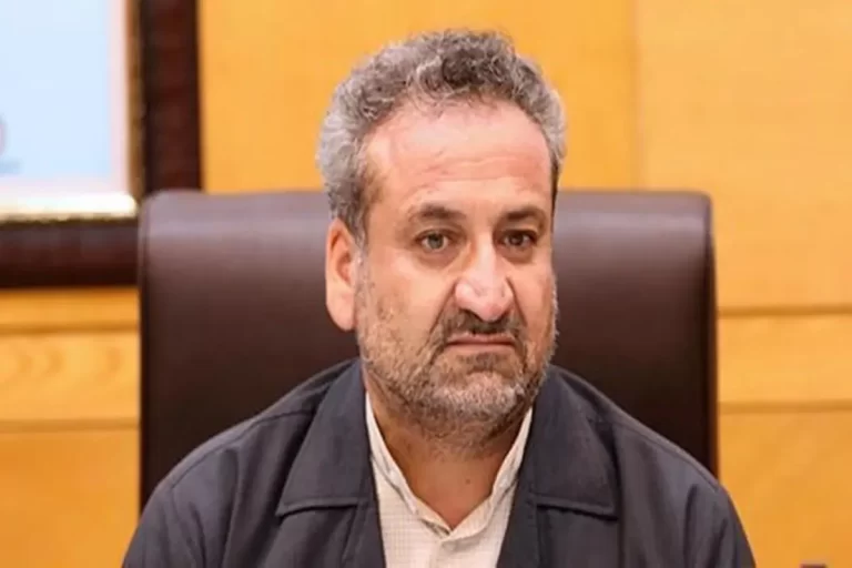 انتقاد یک نماینده از عملکرد شرکت‌های خودروسازی/ وزیر ورود کند