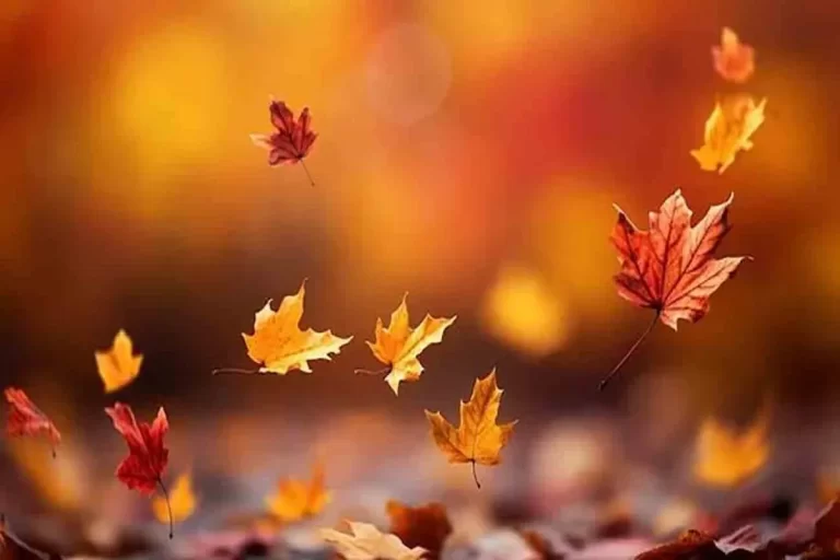 پاییز کم‌بارشی در راه است/ تدوین سناریو بدبینانه تامین آب