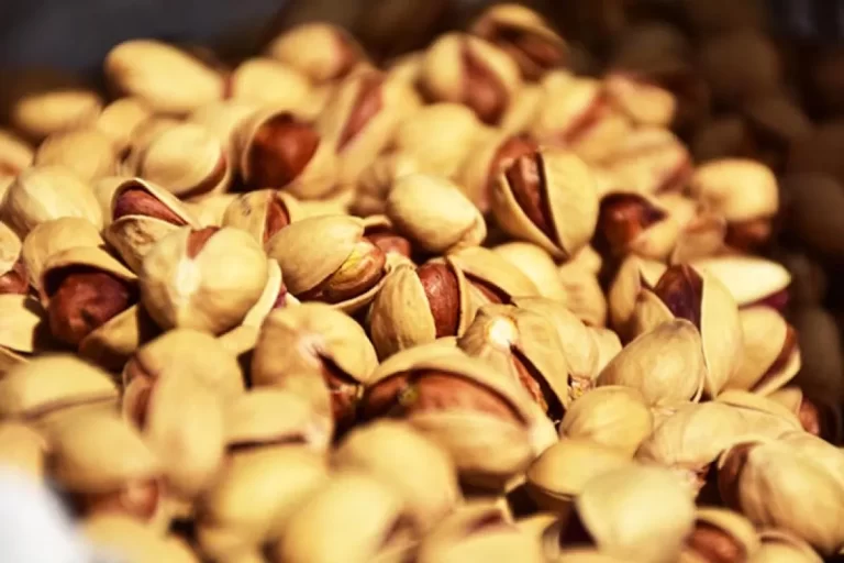 سال گذشته ۱.۷ میلیارد دلار پسته از کشور صادر شد