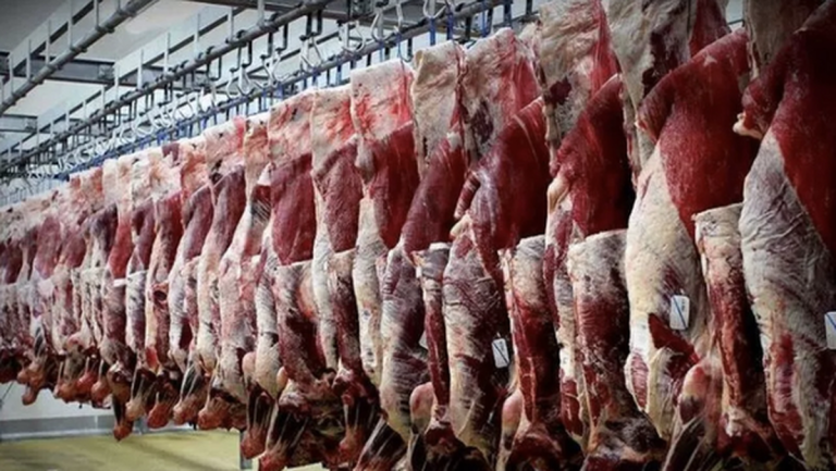 یارانه گوشت قرمز حذف شد/ گوشت کنیایی با قیمت نجومی در بازار