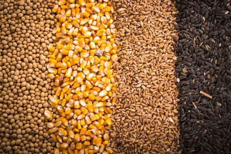 علت تاخیر در تامین نهاده دام