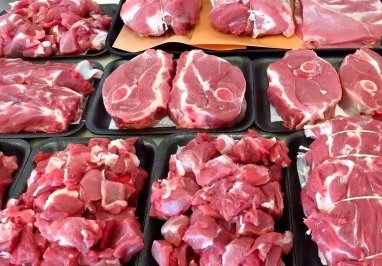 واردات گوشت گوسفند روسی به کشور