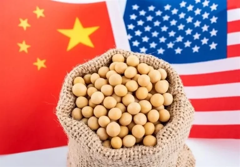 سویا به جبهه‌ای تازه در جنگ تجاری آن‌ها تبدیل شده است