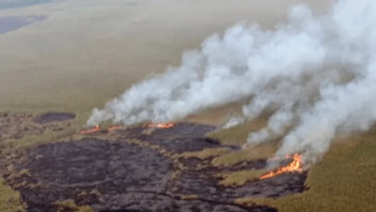 این آب قرار است به سه نقطه بحرانی تالاب هدایت شود