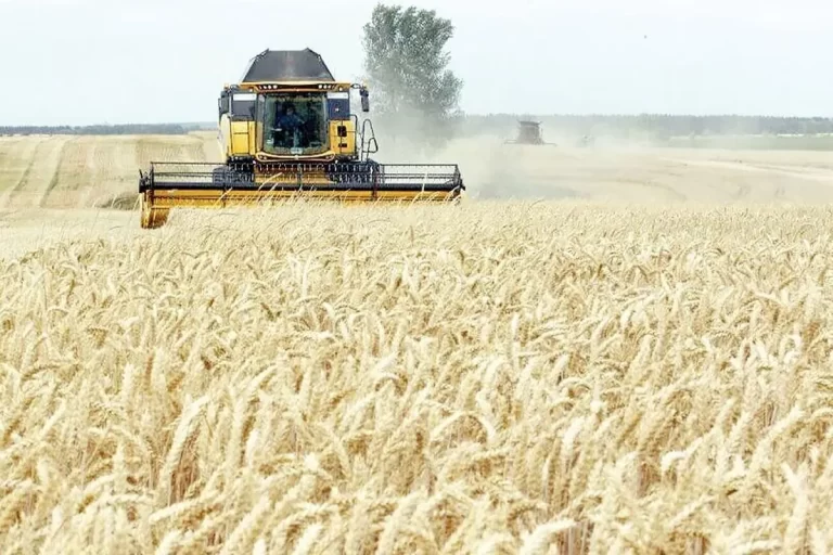 یک پنجم حق بیمه سهم گندمکاران واریز شد