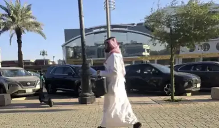 مطالعه موردی بر اساس داده‌های 2025