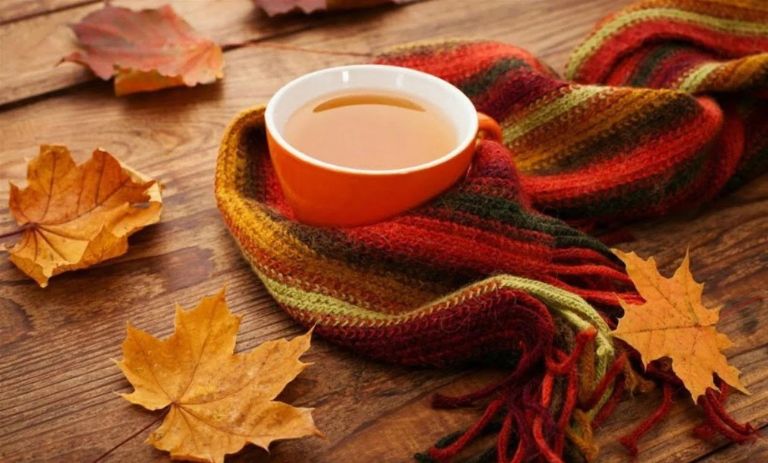 دمنوش‌های مناسب پاییز؛ ضد افسردگی و شادی‌آور برای روزهای سرد