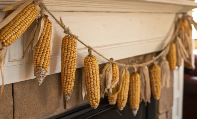 روش‌های ساده و سریع برای خشک کردن ذرت در خانه
