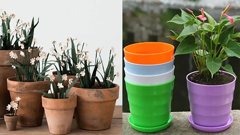 گلدان کوچک سفالی با رنگ ها و طرح های متنوع و جذاب