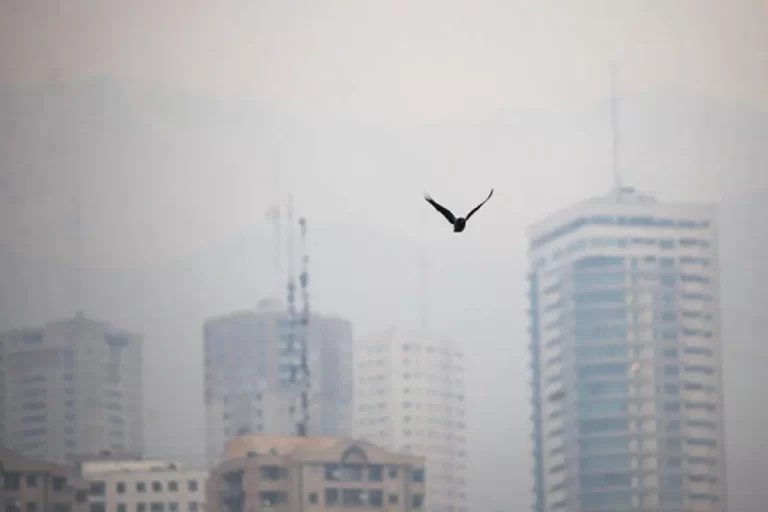 تهران از ابتدای سال فقط ۶ روز هوای پاک داشته است