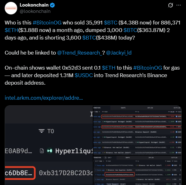 سود ۱۶۰ میلیون دلاری یک نهنگ بازار از ریزش بیت کوین