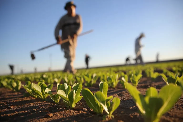 حذف ۱۴ میلیون شغل تا سال ۲۰۲۷