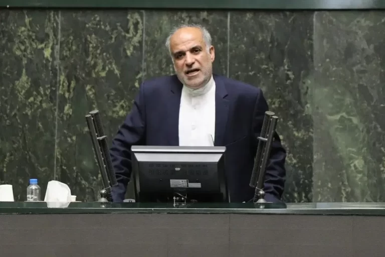 عملکرد دولت در واگذاری‌ها رضایت‌بخش نبوده است