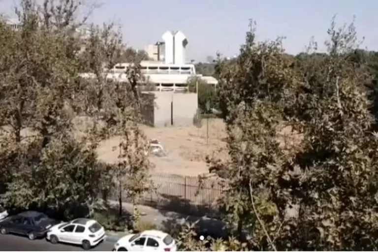 پشت پرده قطع درختان موزه فرش