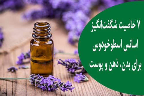 ۷ خاصیت شگفت‌انگیز اسانس اسطوخودوس برای بدن، ذهن و پوست